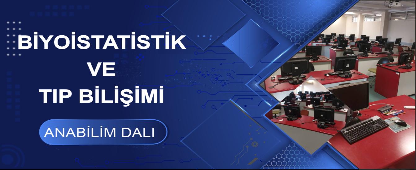Görsel 1