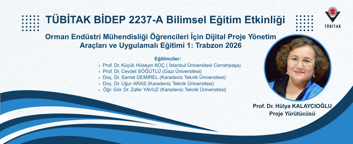 TÜBİTAK Başarısı