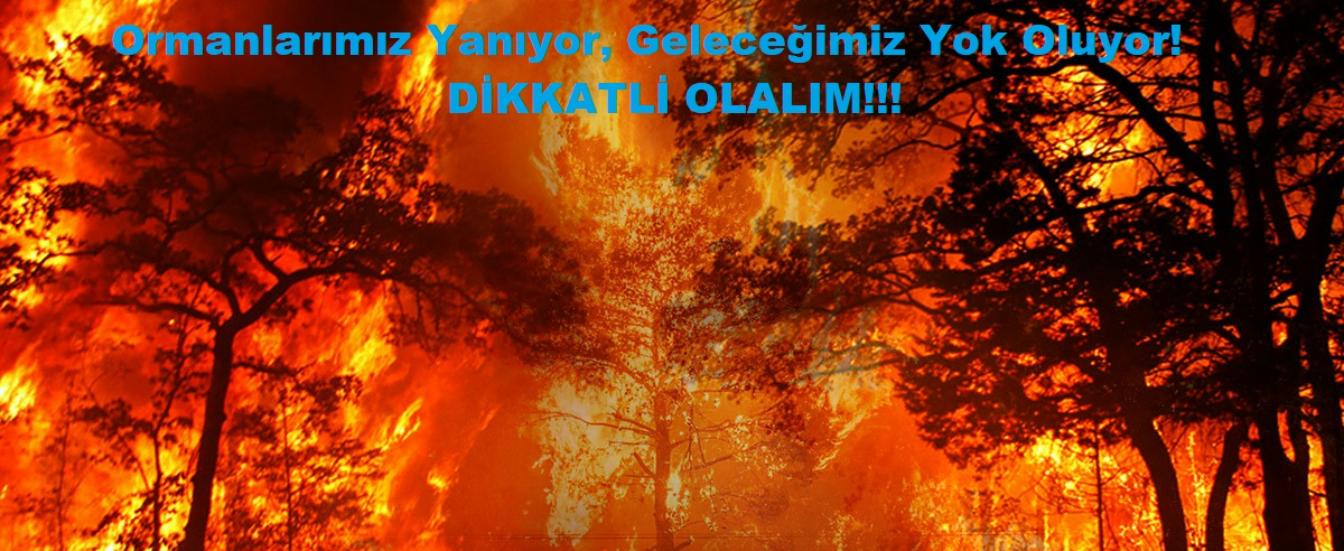 Ormanlarımız Yanıyor, Geleceğimiz Yok Oluyor!