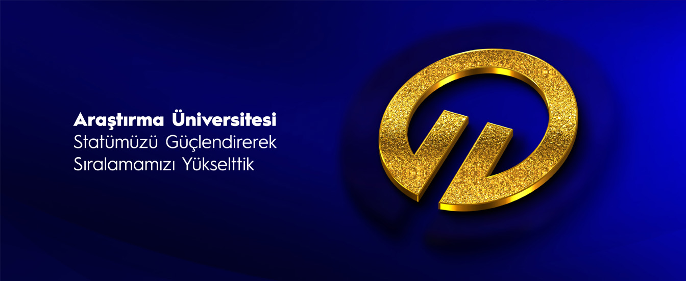 Araştırma Üniversitesi