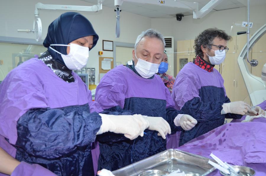 Prof. Dr. Hasan DİNÇ ve Doç. Dr. Şükrü OĞUZ