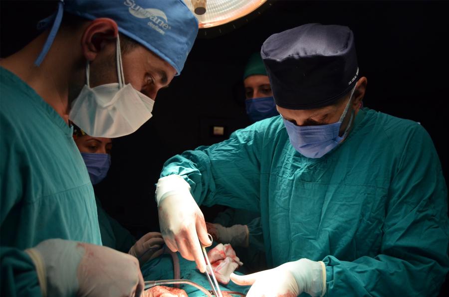 Farabi İnternaction