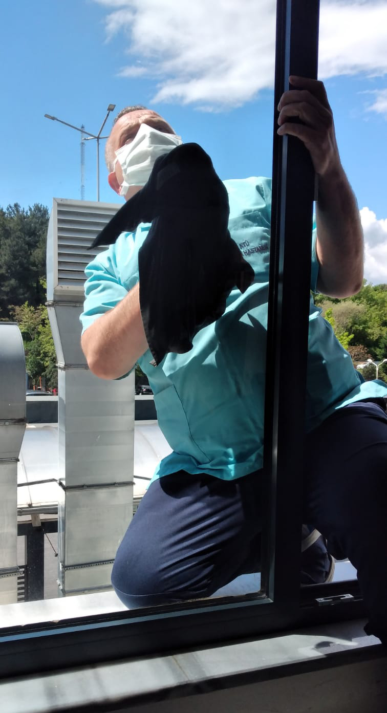 KTÜ Farabi Hastanesi