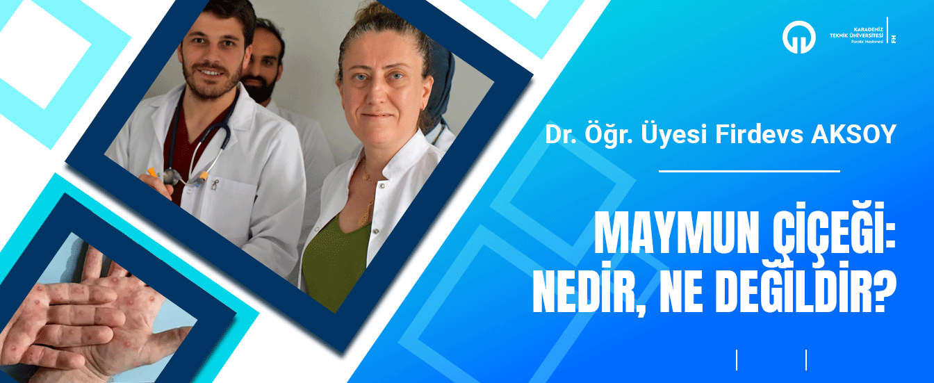 Maymun Çiçeği: Nedir, Ne Değildir?