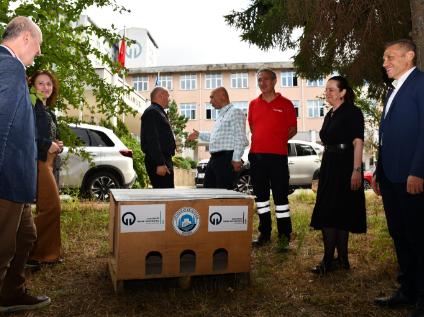 Kampüsteki Kediler Evlerine Kavuştu