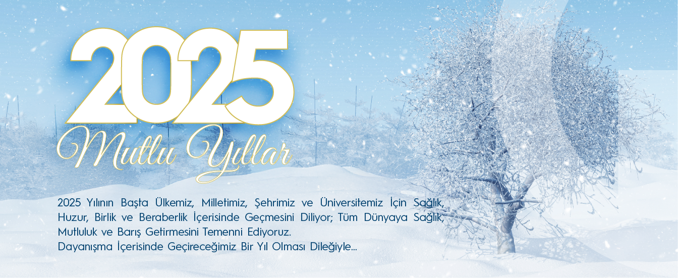 Yılbaşı Slider 2025