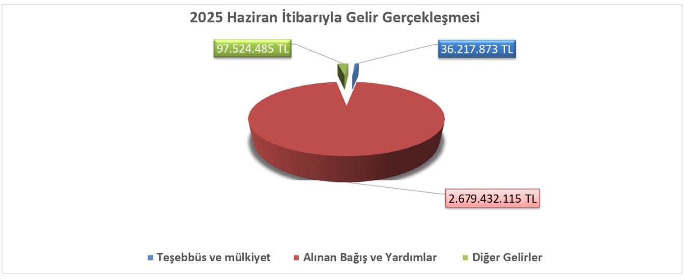 2025 Haziran İtibarıyla Gelir Gerçekleşmesi